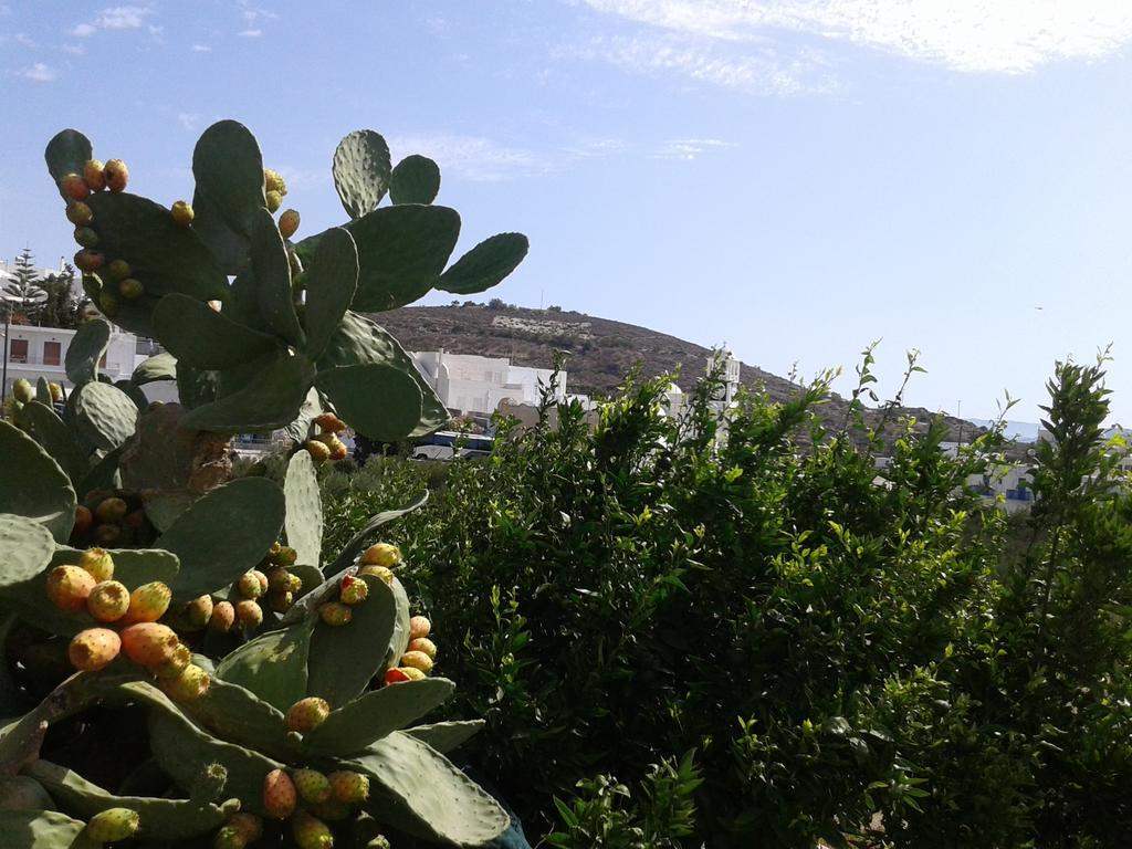 Matilda Milos - Cycladic Living Apartment Triovasalos Bagian luar foto